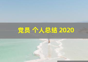 党员 个人总结 2020